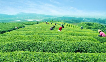 行業(yè)動(dòng)態(tài)